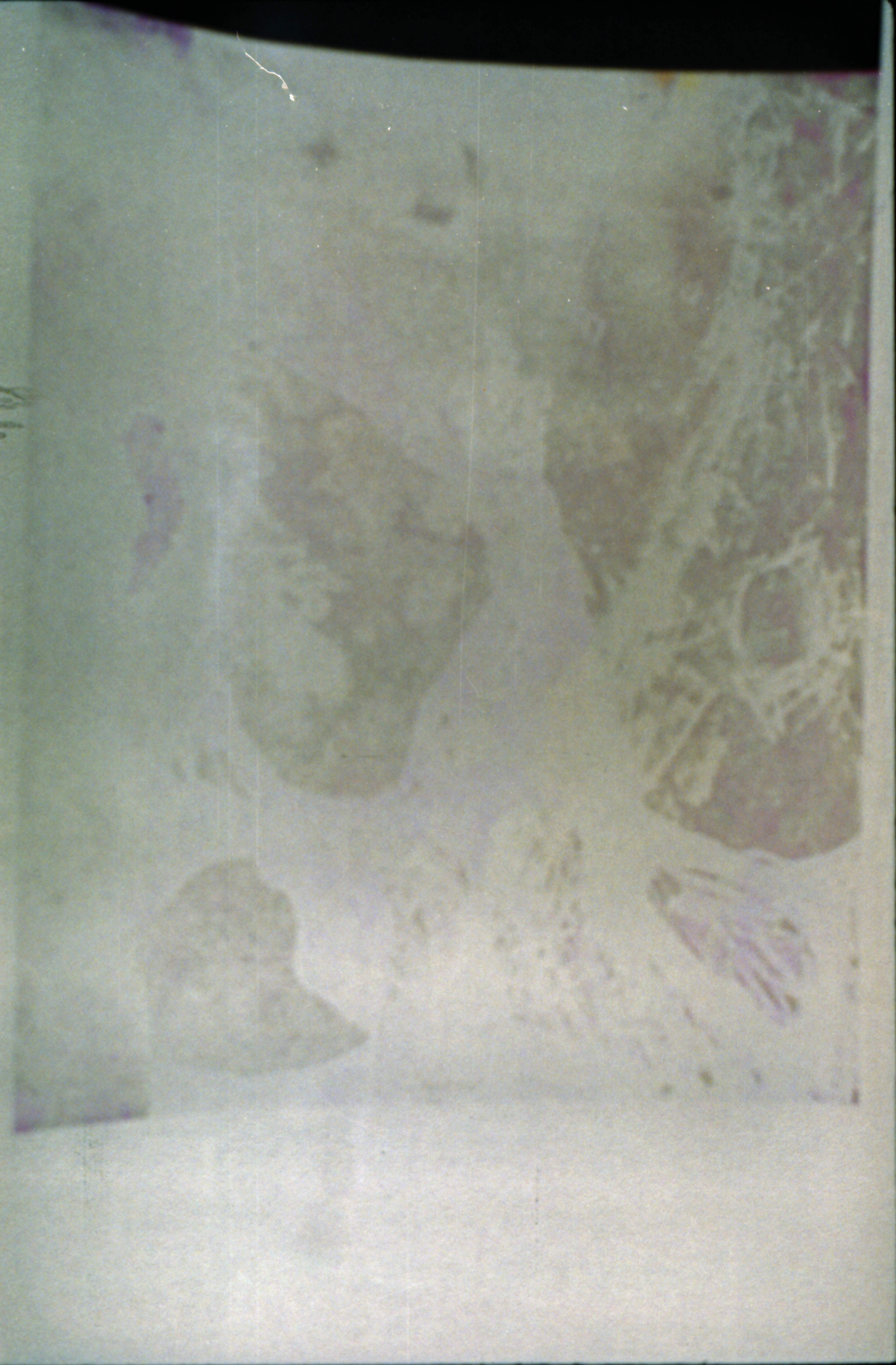 Membranes Lucides_photographs