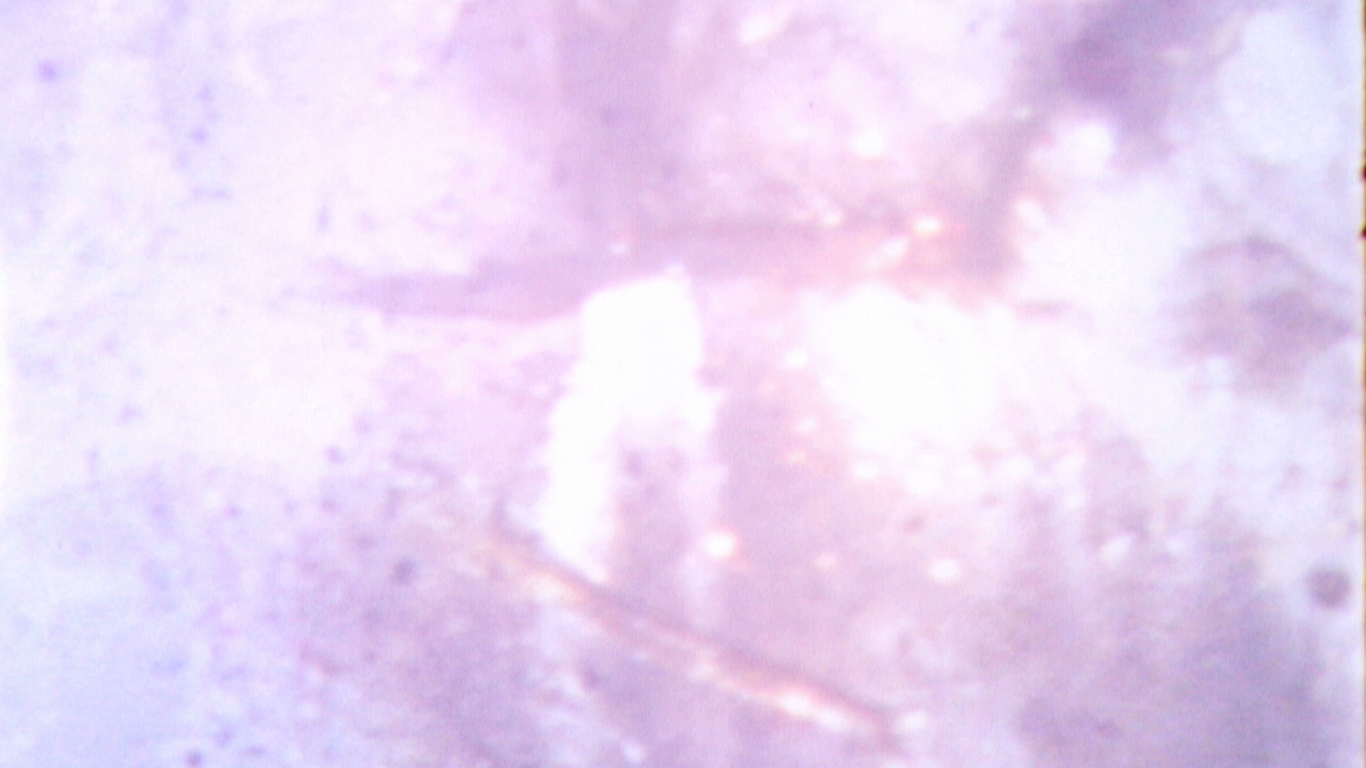 Light & Material_films